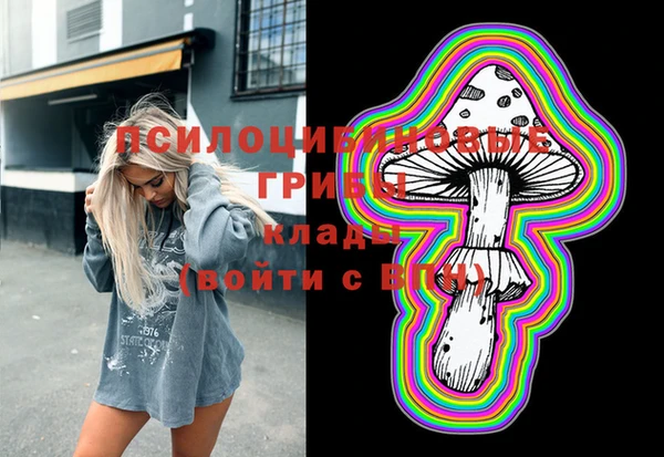 шишки Балахна