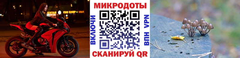 купить  сайты  Бологое  Псилоцибиновые грибы прущие грибы 